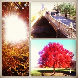 20121122-040550 p.m..jpg