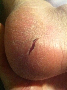 20121204-104132 p.m..jpg