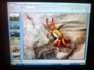 20121214-032739 p.m..jpg