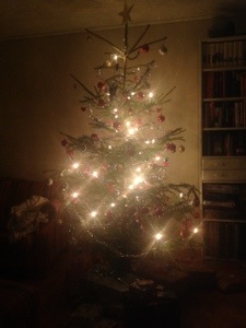 20121224-022447 a.m..jpg