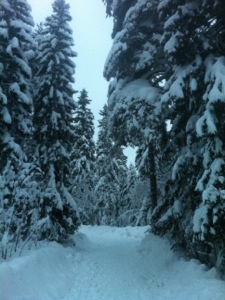 20121225-024949 p.m..jpg