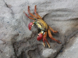 20121231-102919 a.m..jpg