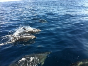 20121231-102940 a.m..jpg