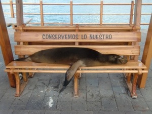 20121231-102959 a.m..jpg