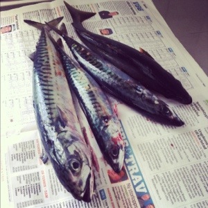 20121231-105805 a.m..jpg