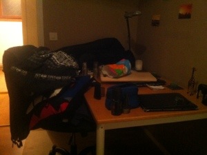 20130106-070338 p.m..jpg