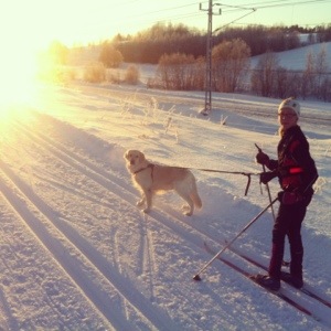 20130120-052525 p.m..jpg