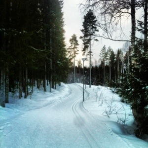 20130129-034321 p.m..jpg