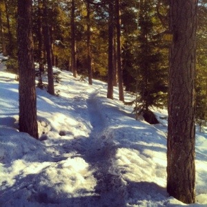 20130131-060037 p.m..jpg