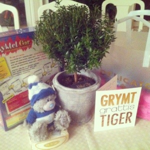 20130224-114343 p.m..jpg