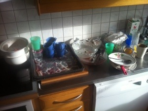 20130225-125907 p.m..jpg