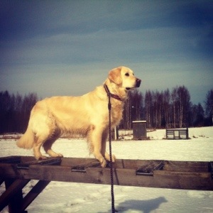 20130306-065853 p.m..jpg