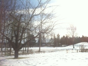 20130306-070211 p.m..jpg