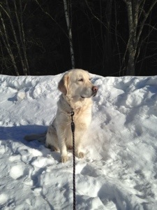 20130315-124134 a.m..jpg