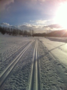 20130325-101125 p.m..jpg