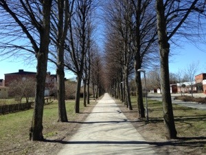 20130505-093954 p.m..jpg