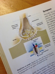 20130515-123755 a.m..jpg