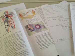 20130523-075339 p.m..jpg