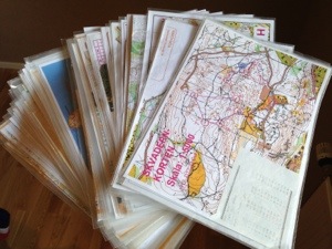 20130604-100823 p.m..jpg