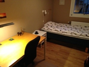 20130604-101828 p.m..jpg