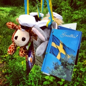 20130605-074322 p.m..jpg