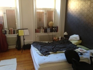 20130610-120454 p.m..jpg