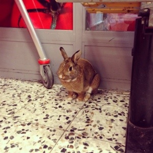 20130617-025721 p.m..jpg