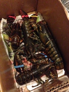 20130620-101006 p.m..jpg