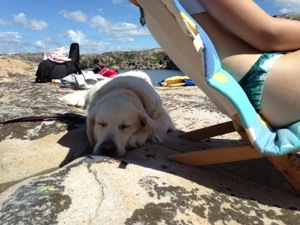 20130630-112658 p.m..jpg