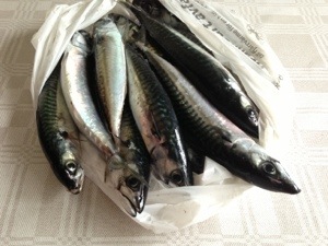 20130703-061712 p.m..jpg