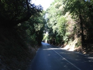 20130818-115514 p.m..jpg