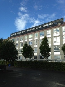 20130907-125805 p.m..jpg