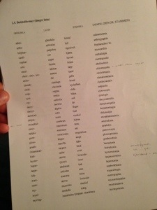 20130909-113239 p.m..jpg