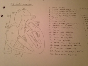 20130923-111924 p.m..jpg