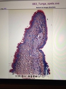 20130929-101429 p.m..jpg