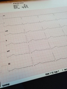 20131006-115737 p.m..jpg