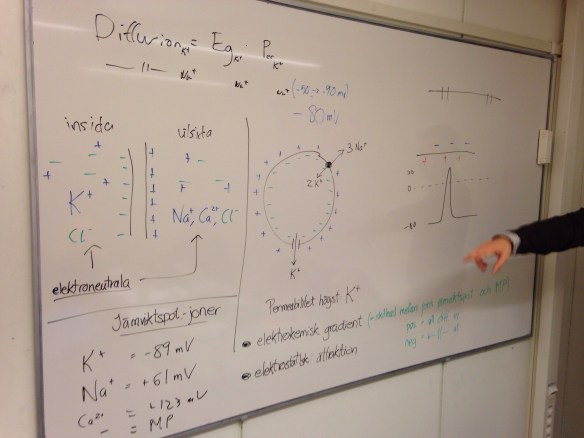 20131028-125316 a.m..jpg