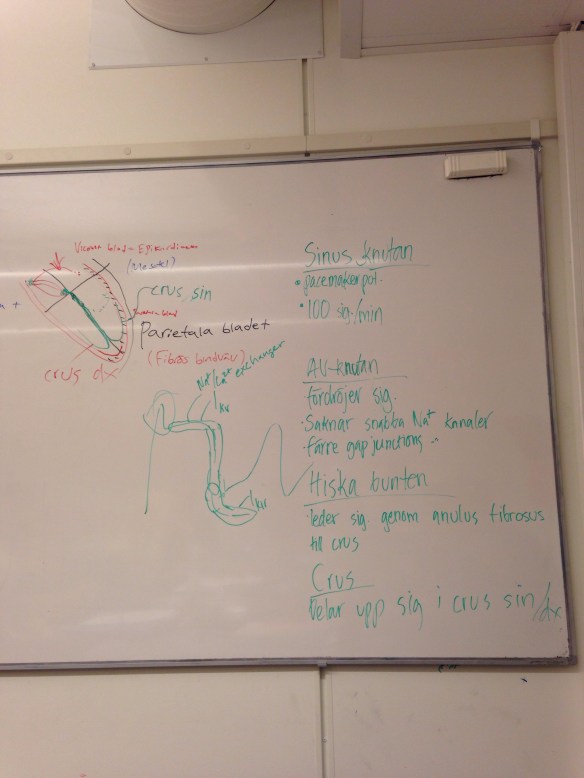 20131028-125329 a.m..jpg