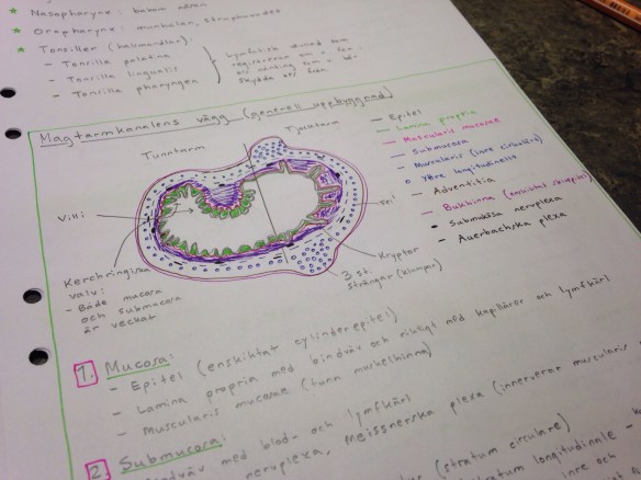 20131201-112458 p.m..jpg