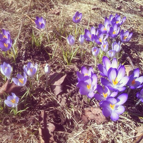 20140103-105406 p.m..jpg