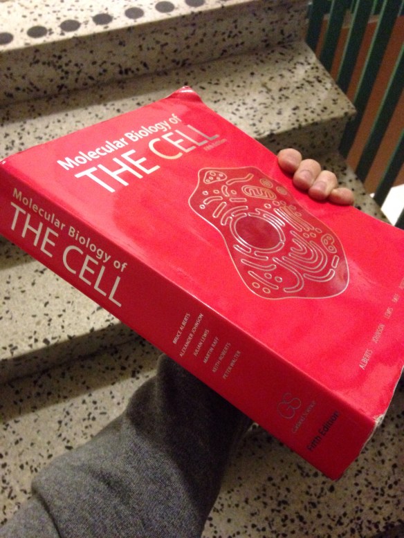 20140202-124804 a.m..jpg