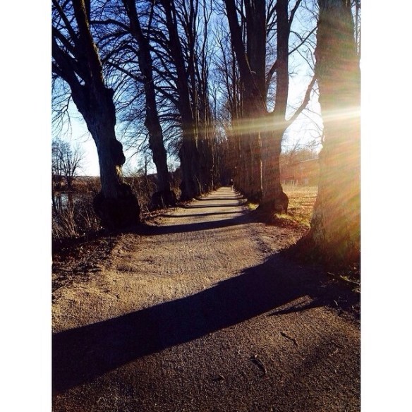 20140218-122359 a.m..jpg