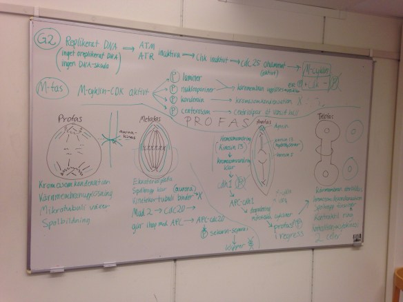 20140301-052818 p.m..jpg