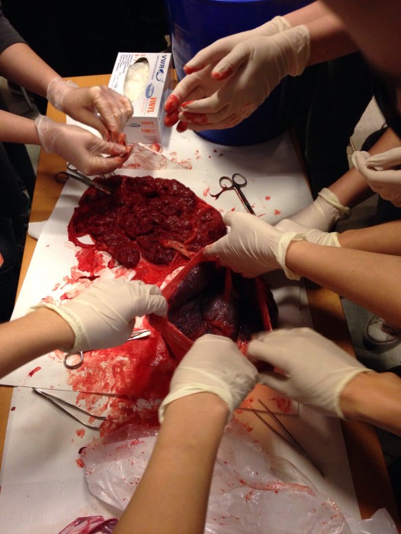 20140330-052610 p.m..jpg