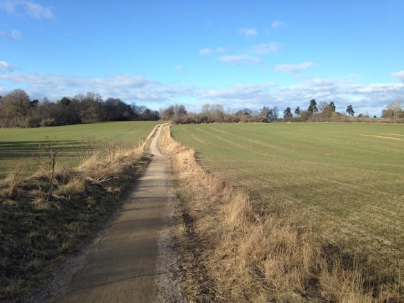 20140403-071015 p.m..jpg