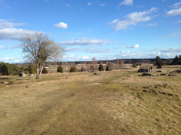 20140403-071104 p.m..jpg