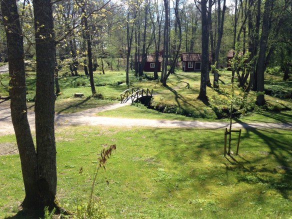 20140502-014121 p.m..jpg