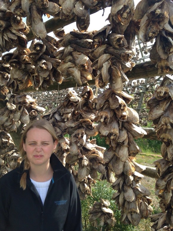 20140715-083454 a.m.-30894384.jpg