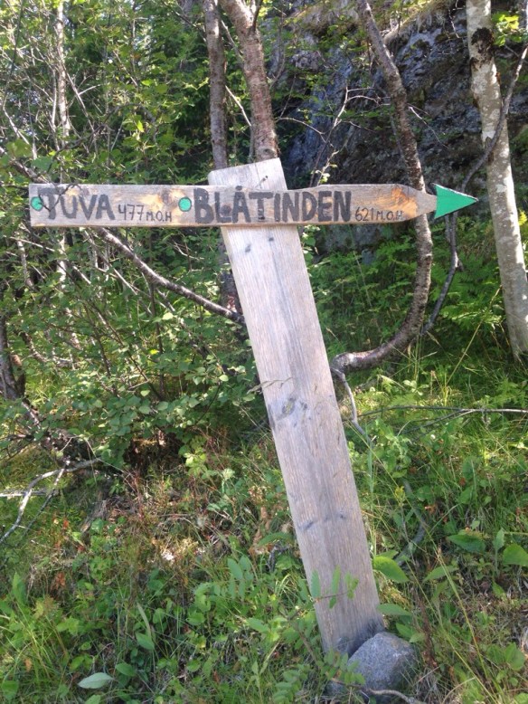 20140724-084638 a.m.-31598598.jpg